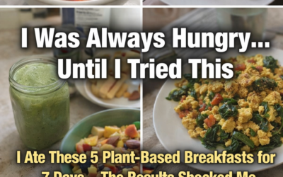 plant based breakfasts1 1
