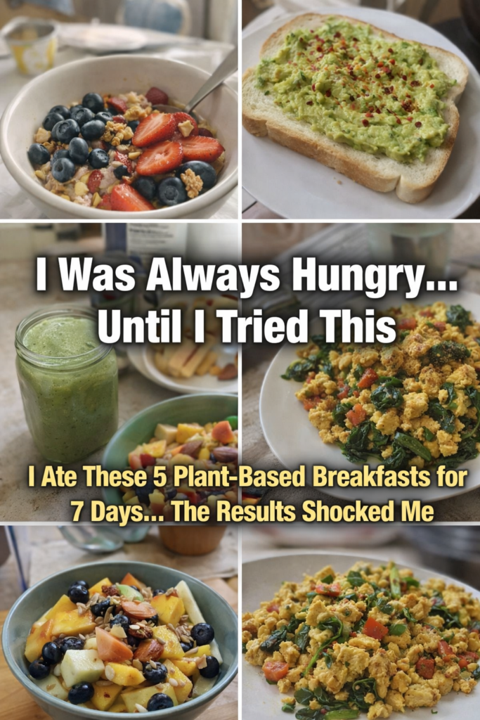 plant based breakfasts1 1